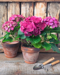 Similar image 19944769