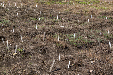 Similar image 19952479