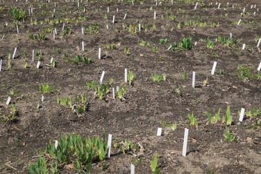 Similar image 19952482