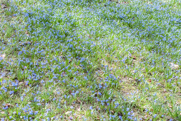 Similar image 20194516