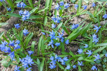 Similar image 20194518