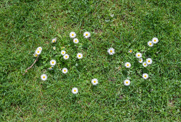 Similar image 20194538