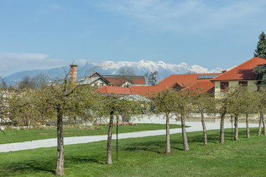 Similar image 20194539