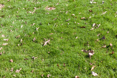 Similar image 20194567