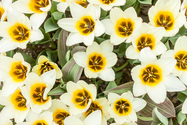 Similar image 20194623