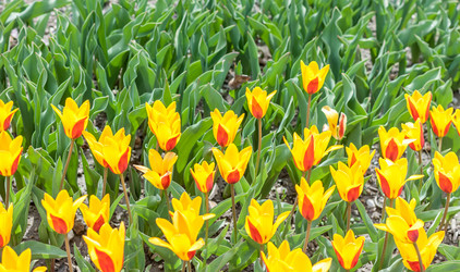 Similar image 20194631