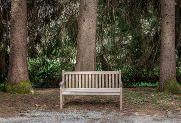 Similar image 20194634