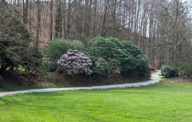 Similar image 20194636