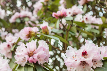 Similar image 20194638