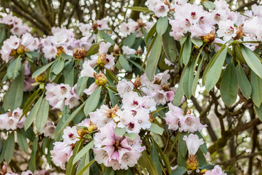 Similar image 20194742