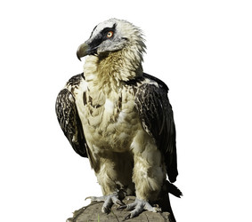 Similar image 20108248