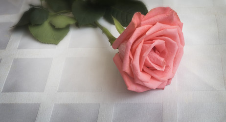 Similar image 20166249