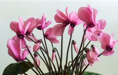 Similar image 20166251