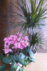 Similar image 20166253