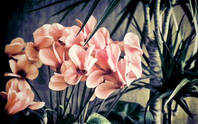 Similar image 20166256