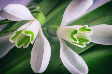 Similar image 20166258