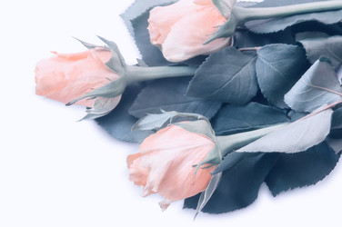 Similar image 20166289