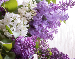 Similar image 20166296