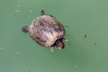 Similar image 20110305