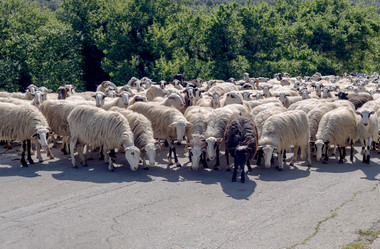 Similar image 20110306