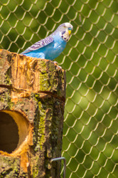 Similar image 20121786