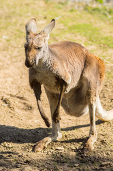 Similar image 20121813