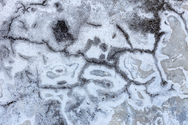 Similar image 20110311