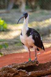 Similar image 20121881