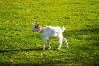 Similar image 20121884