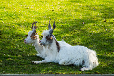 Similar image 20121887