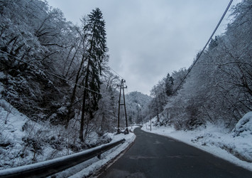 Similar image 20194784