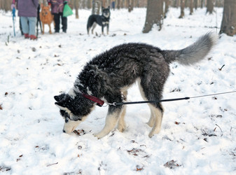 Similar image 20058065