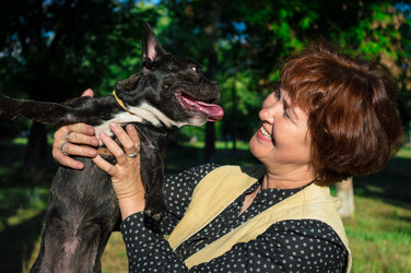 Similar image 19951197