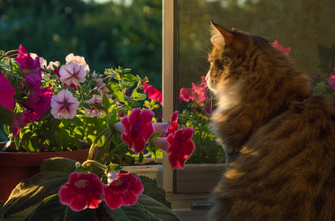 Similar image 19951206