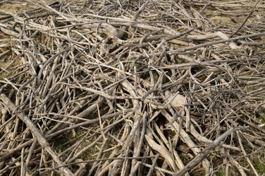 Similar image 19952492