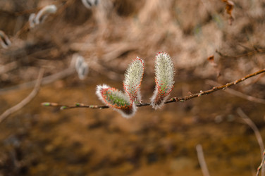 Similar image 19952494