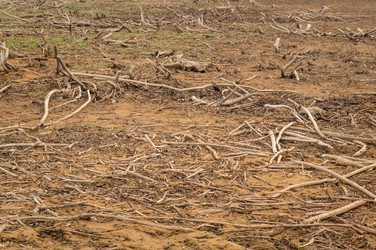 Similar image 19952709