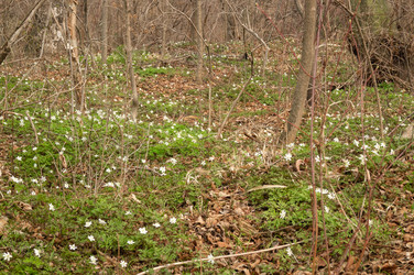 Similar image 19952747