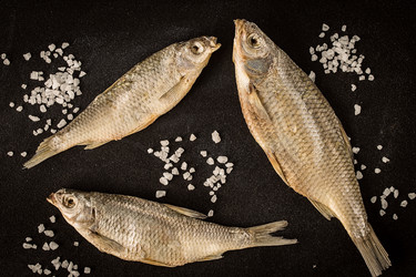 Similar image 20106510