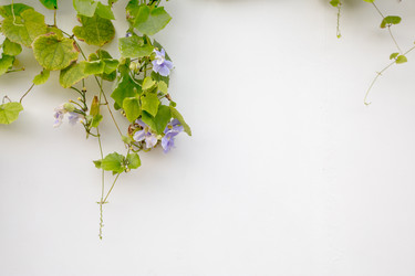 Similar image 20081314