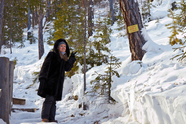 Similar image 20058079