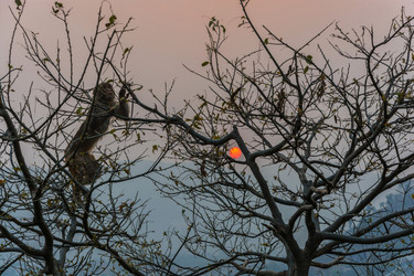 Similar image 19962453