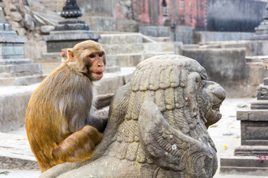 Similar image 19962528