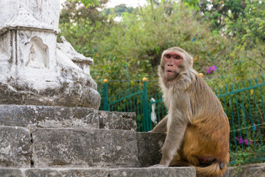 Similar image 19962663