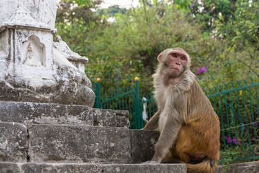 Similar image 19962703