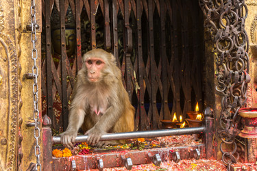 Similar image 19962659