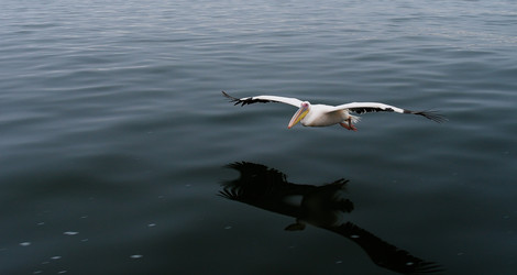 Similar image 20114081