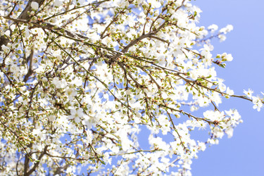 Similar image 20054680