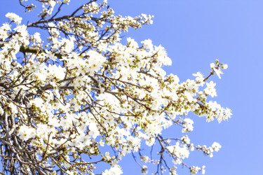 Similar image 20054683