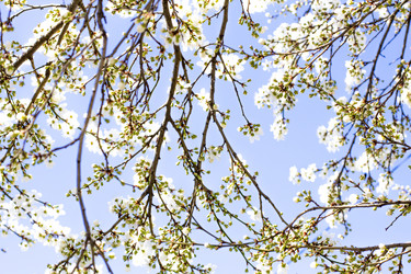 Similar image 20116259